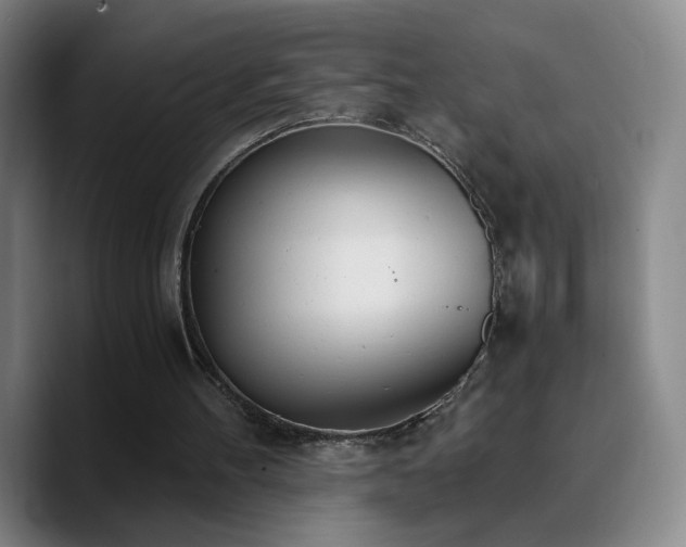X0000090740100200707201437