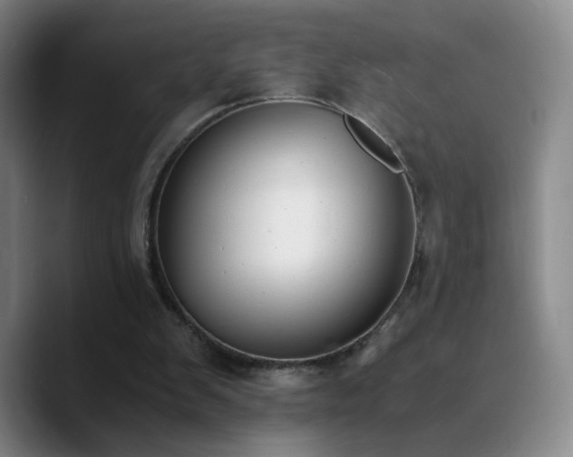 X0000090740103200707201437