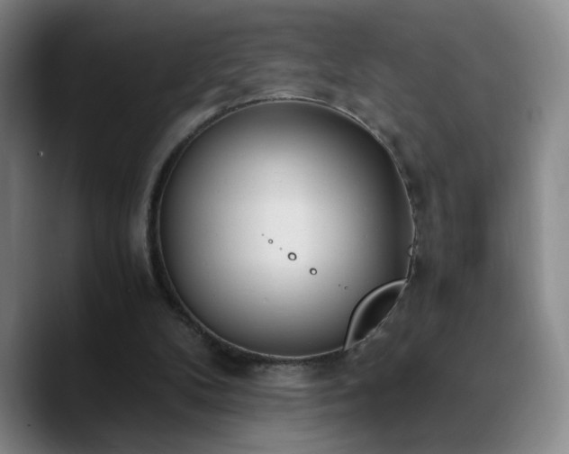 X0000090740104200707201437