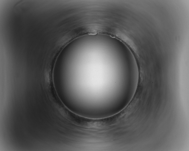 X0000090740105200707201437