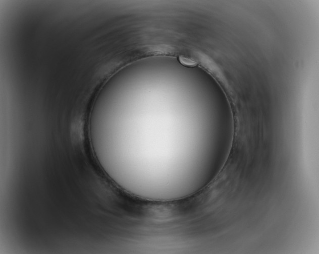 X0000090740106200707201437