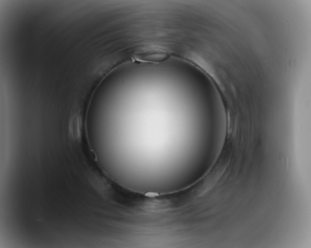 X0000090740109200707201437