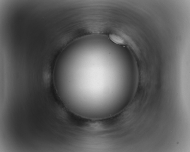 X0000090740113200707201437