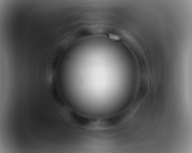 X0000090740125200707201437