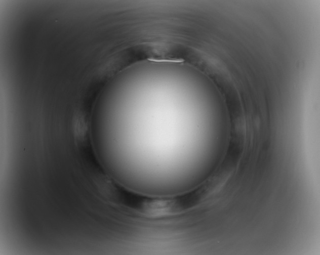 X0000090740129200707201437