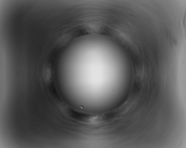 X0000090740130200707201437