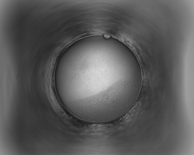 X0000090740145200707201436