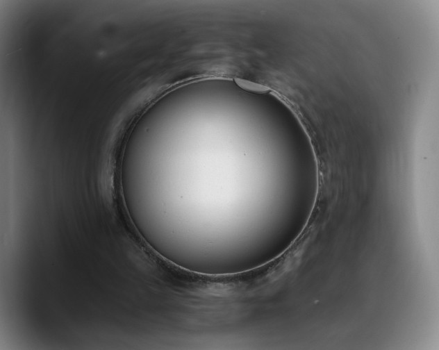 X0000090740149200707201436