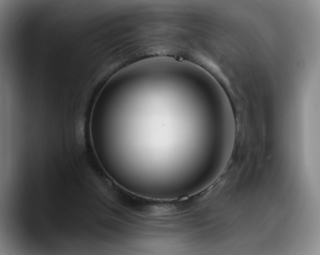 X0000090740154200707201436