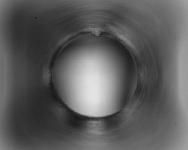 X0000090740160200707201436