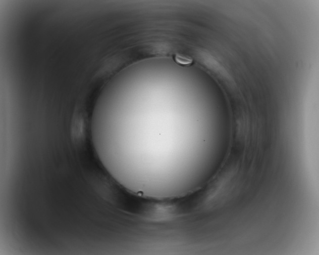 X0000090740165200707201436