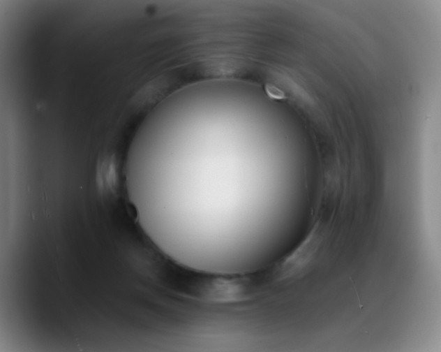 X0000090740166200707201436