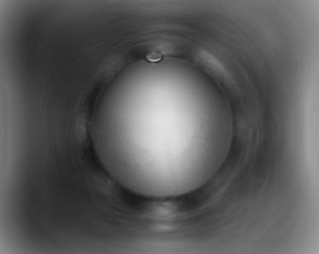 X0000090740169200707201436