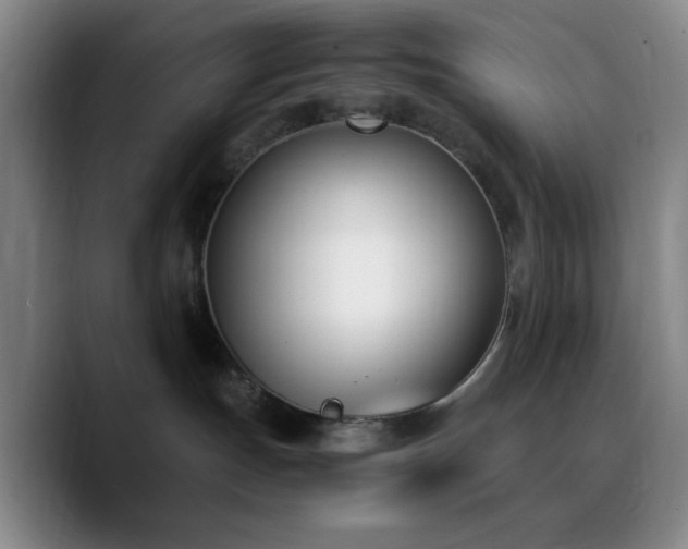 X0000090740191200707201437