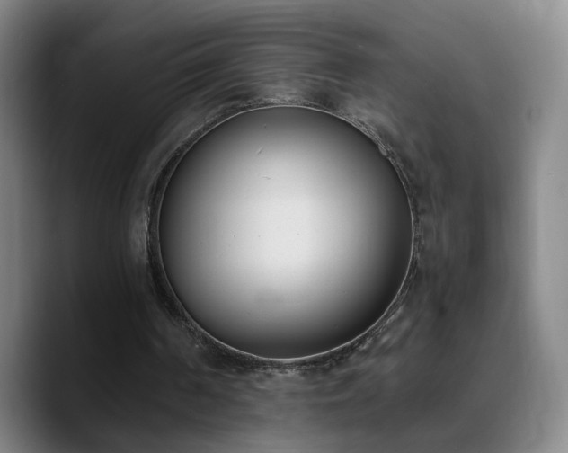 X0000090740194200707201436
