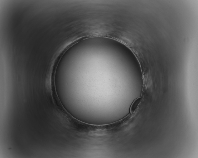 X0000090740196200707201436