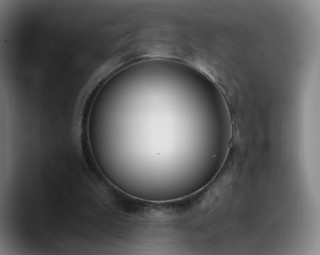 X0000090740199200707201436