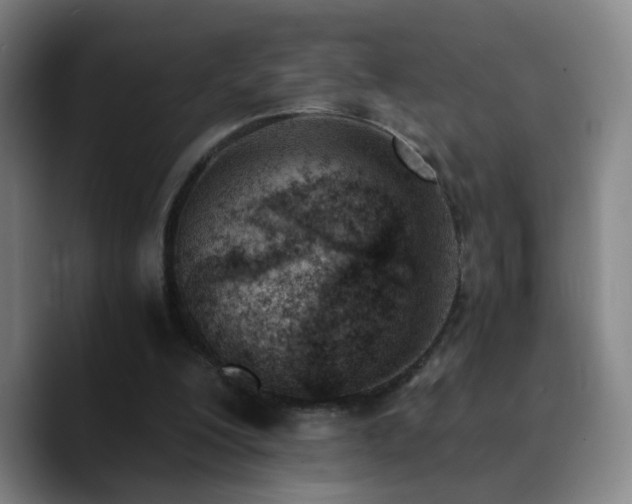 X0000090740200200707201436