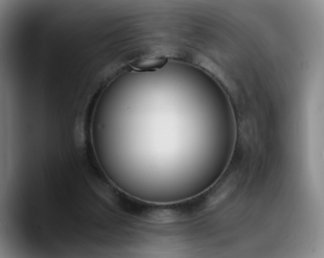 X0000090740203200707201436