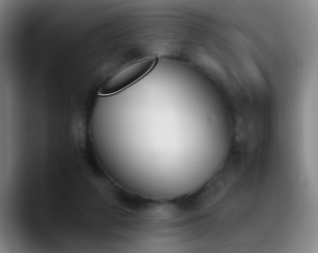 X0000090740210200707201436