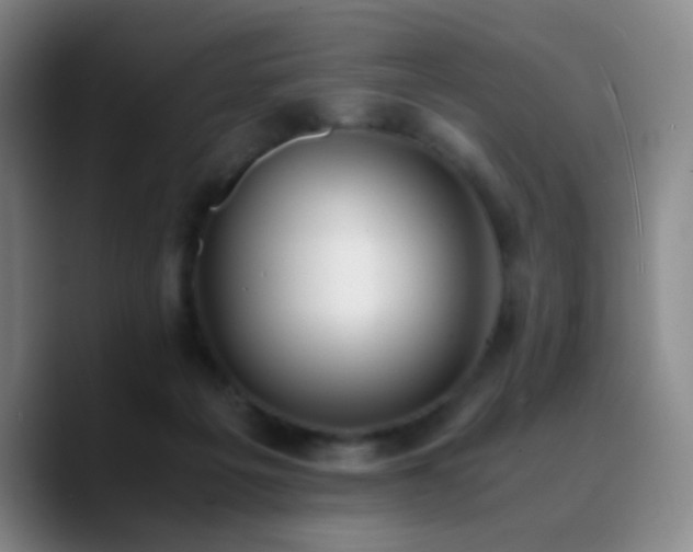 X0000090740217200707201436