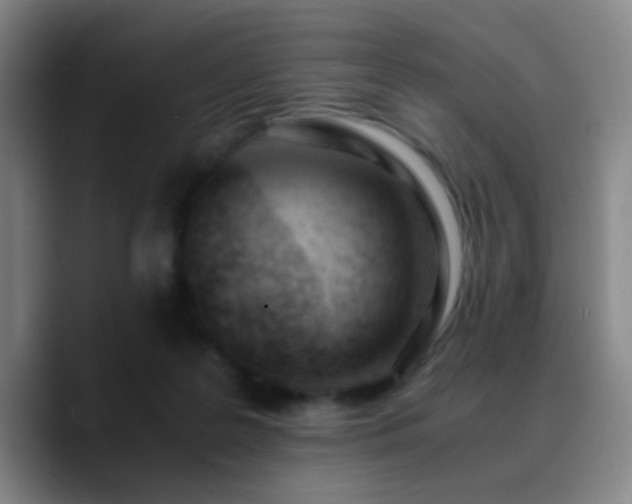 X0000090740219200707201436