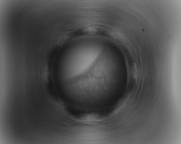 X0000090740223200707201436