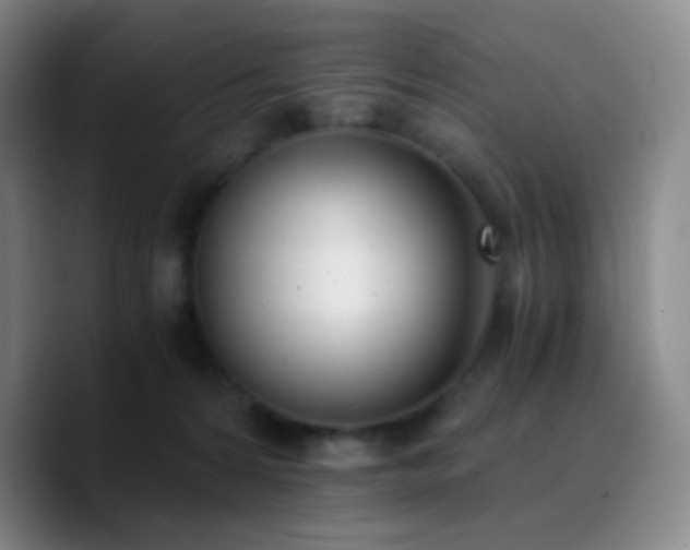 X0000090740224200707201436