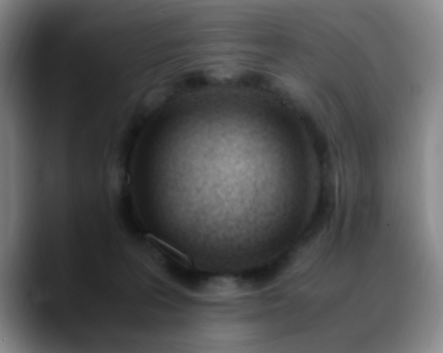 X0000090740227200707201435