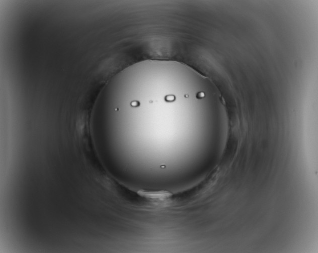 X0000090740233200707201435