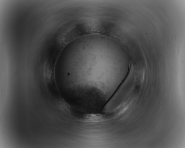 X0000090740239200707201435