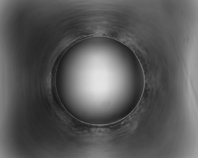 X0000090740242200707201435