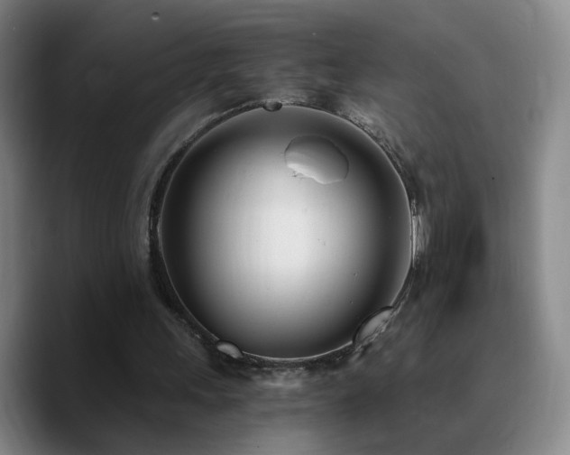 X0000090740243200707201435