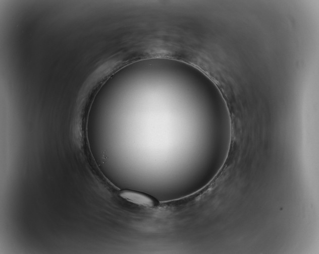 X0000090740245200707201435