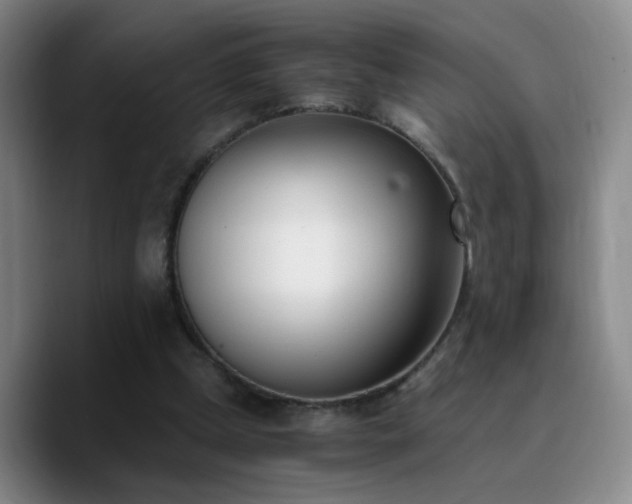 X0000090740249200707201435