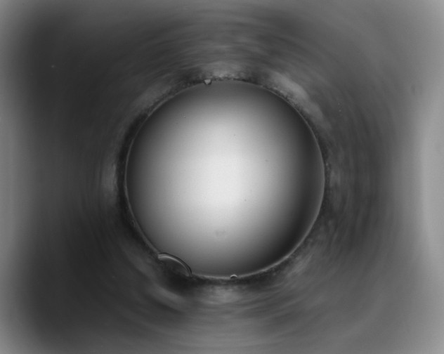 X0000090740250200707201435