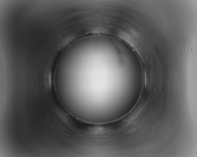 X0000090740253200707201435