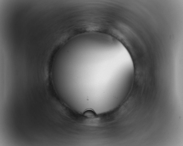 X0000090740257200707201435
