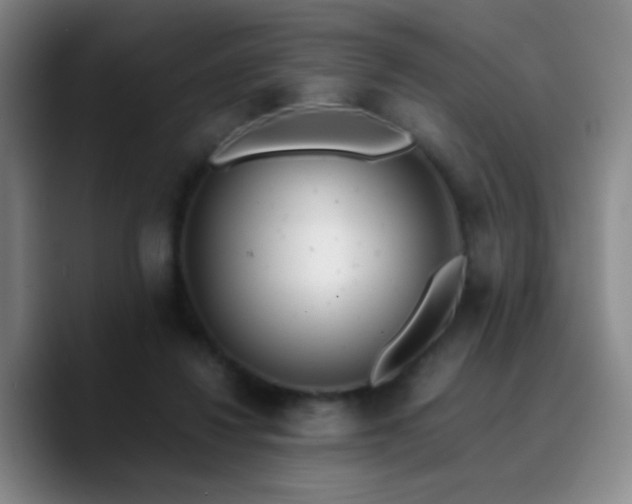 X0000090740260200707201435