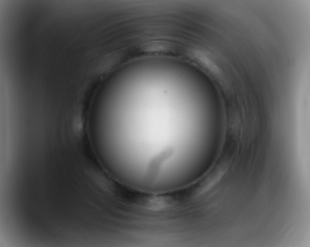 X0000090740261200707201435