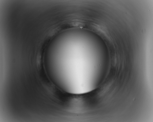 X0000090740263200707201435