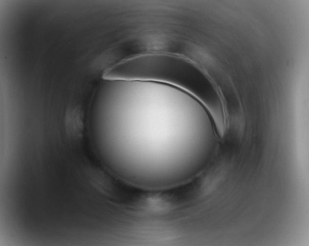 X0000090740264200707201435