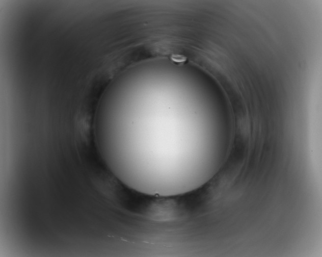 X0000090740271200707201435