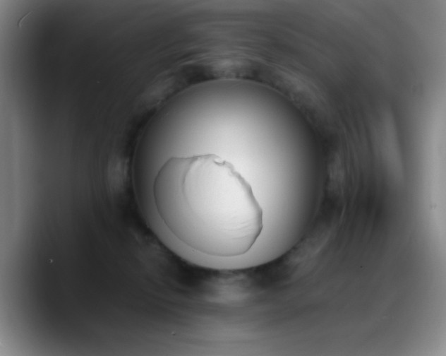 X0000090740278200707201435