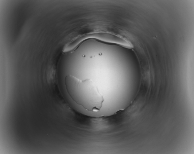 X0000090740281200707201435