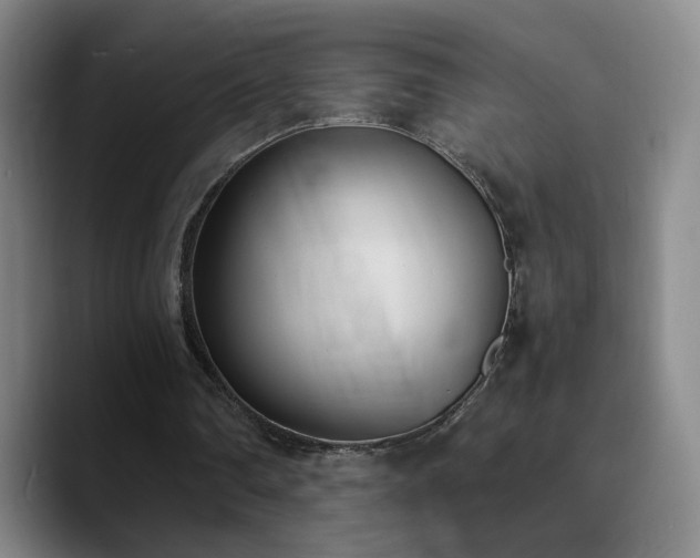 X0000090740290200707201435
