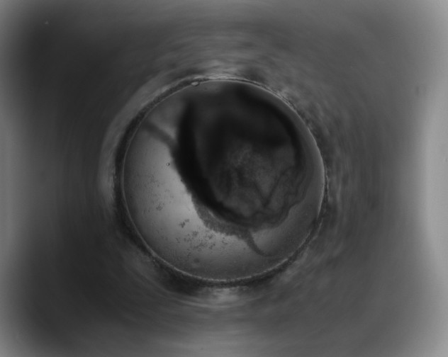 X0000090740295200707201435