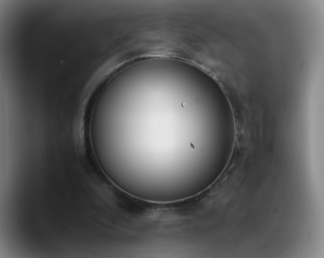 X0000090740296200707201435