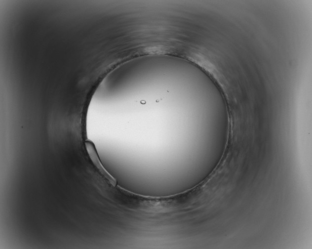 X0000090740297200707201435