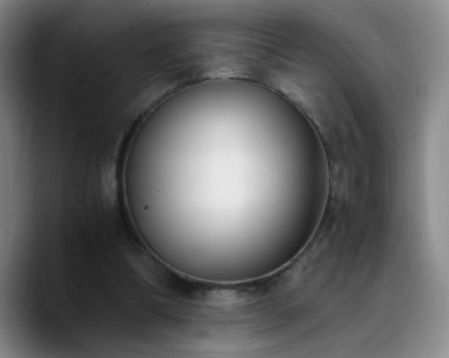 X0000090740298200707201435
